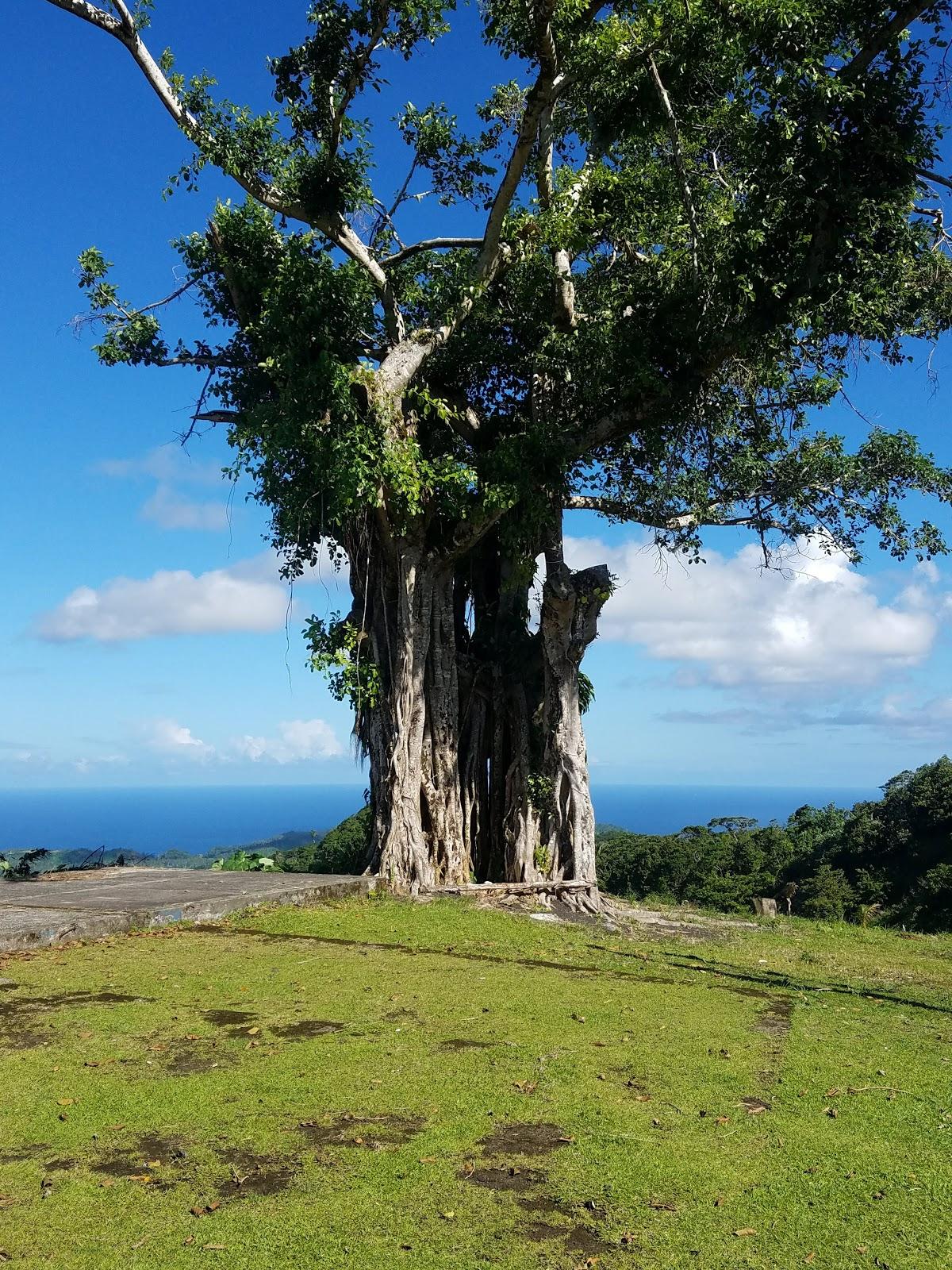 Sandee - Country / Aoloau