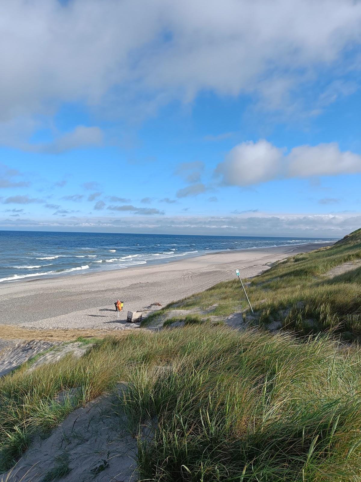 Sandee Nr. Lyngvig Beach