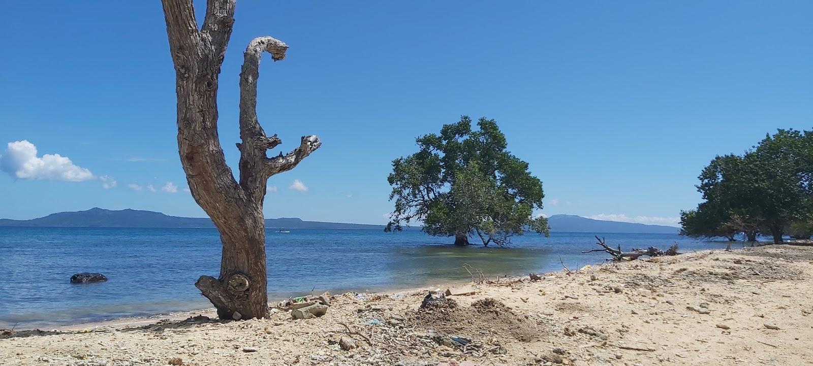 Sandee Manta Beach Photo