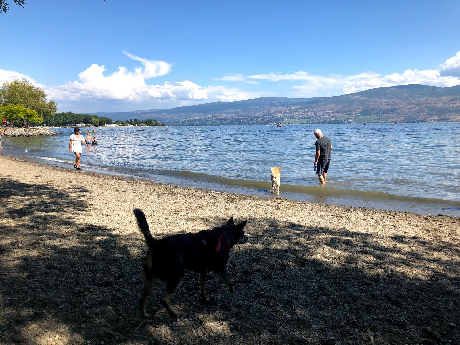 Sandee Gellatly Dog Beach Photo