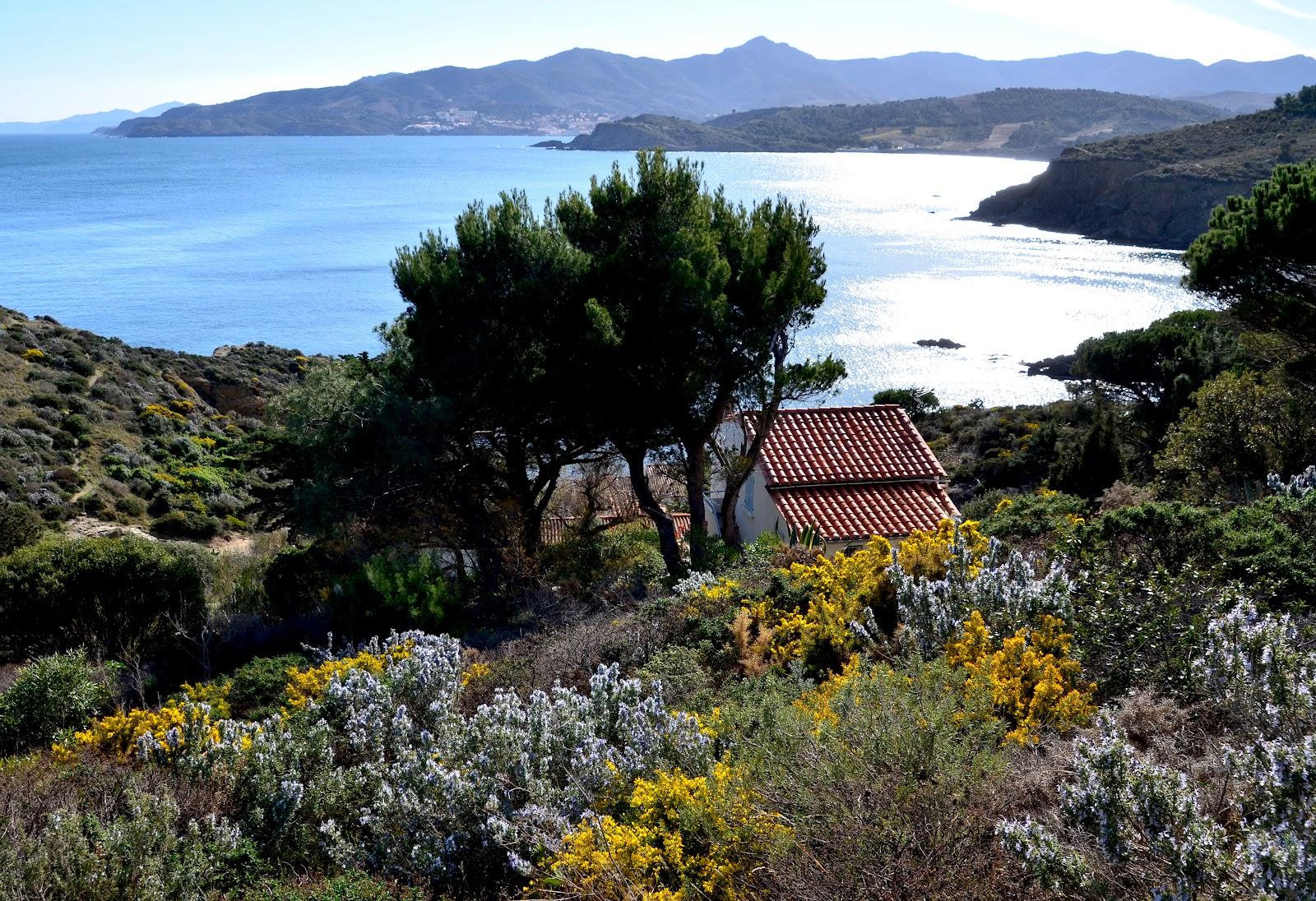 Sandee - Anse Sainte Catherine
