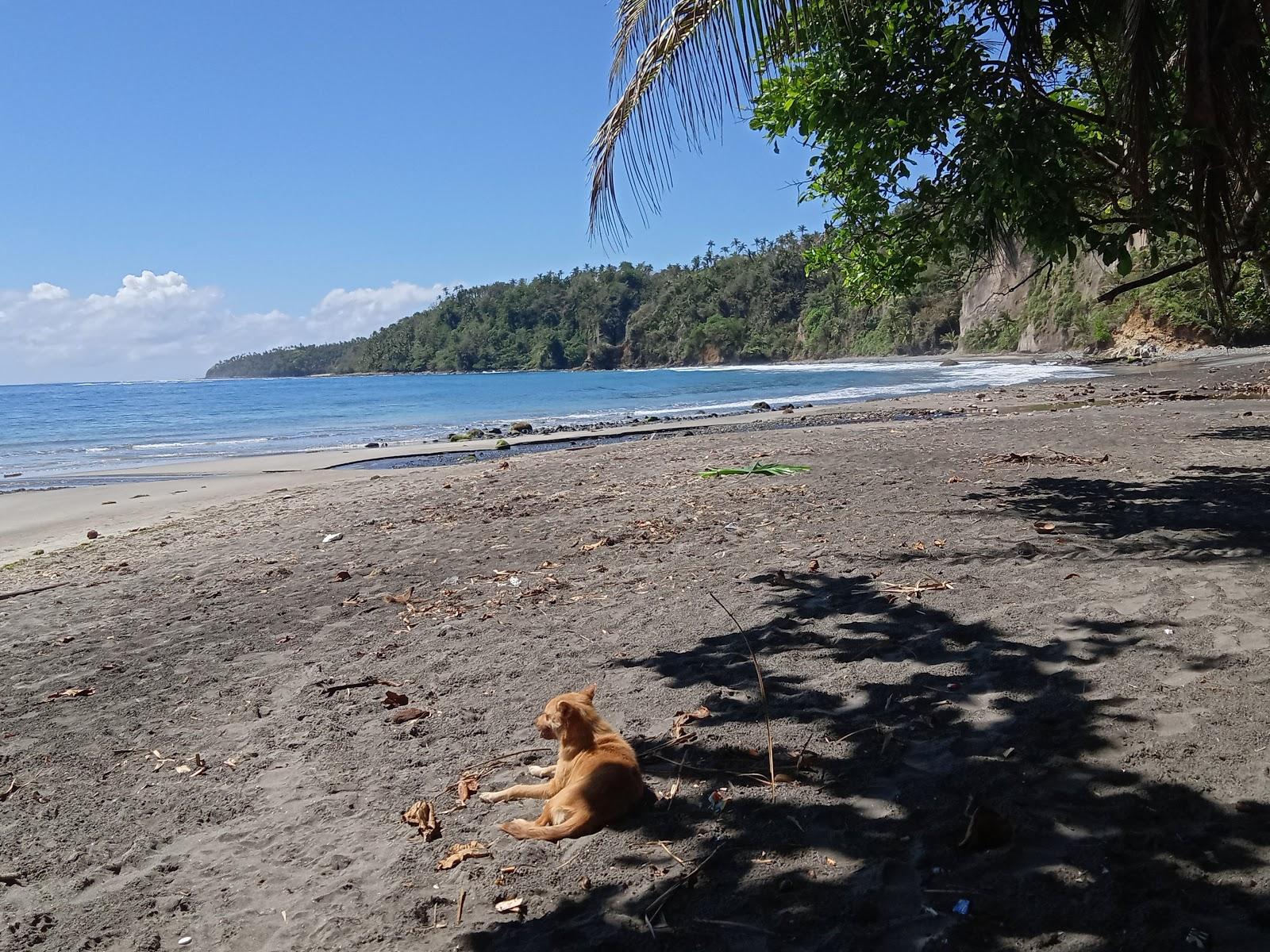 Sandee 14 Puno Beach