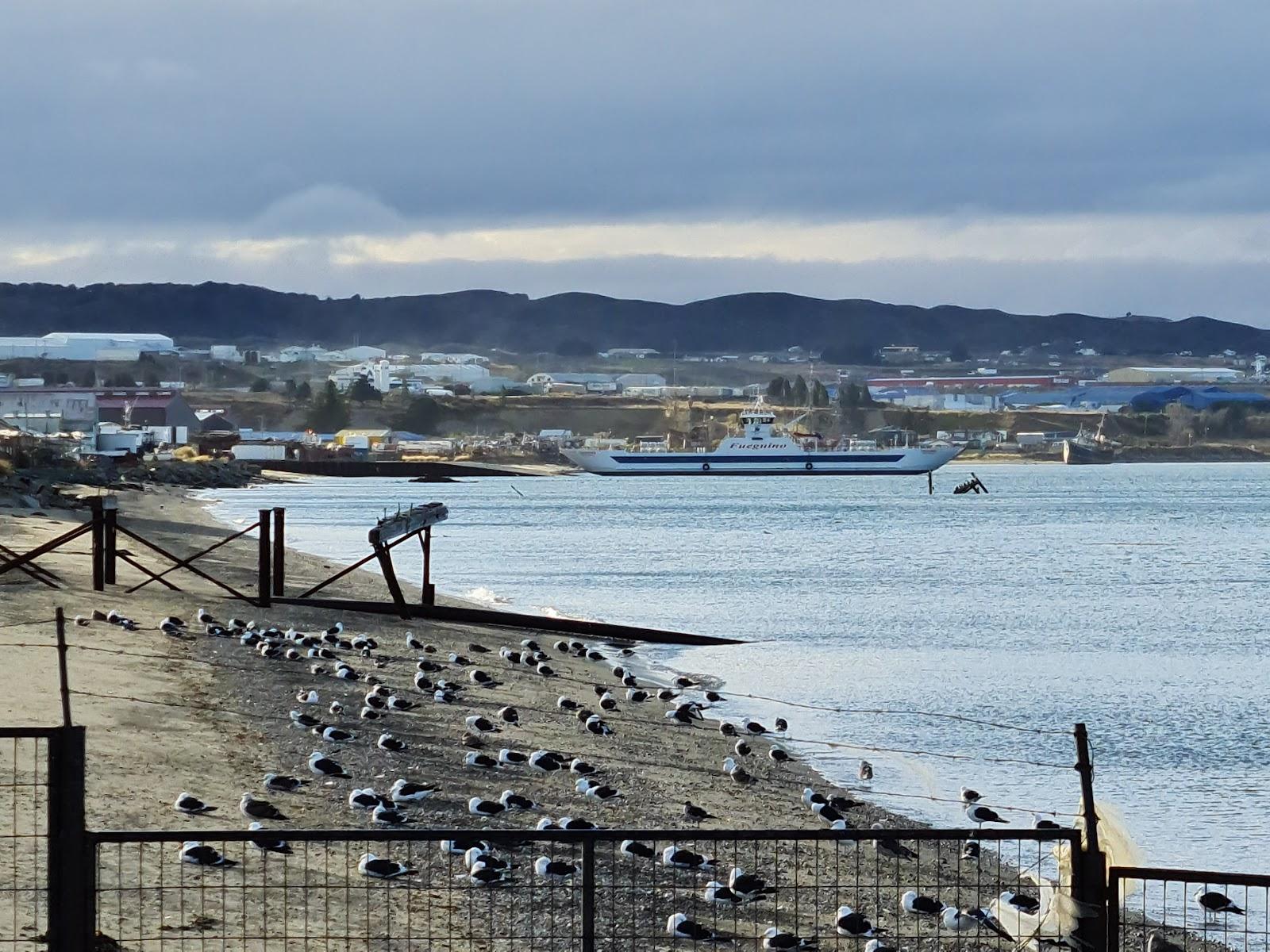 Sandee Punta Arenas Norte Photo