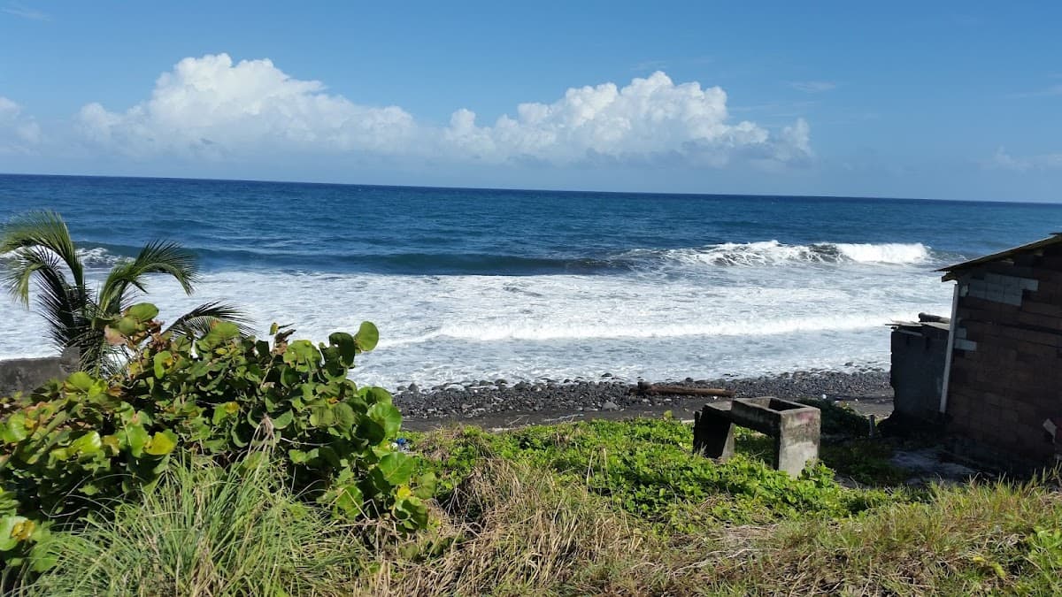 Sandee Mt. Young Beach Photo