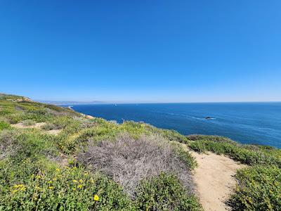 Sandee - Dana Point Headlands Beach