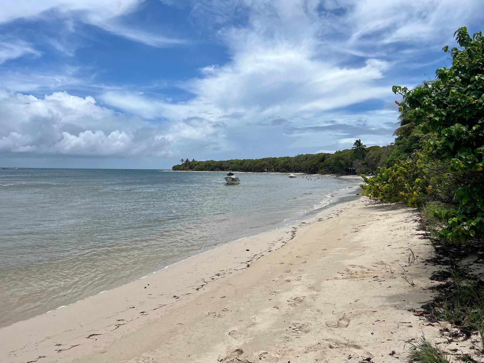 Sandee - Plage Des Pruneaux
