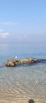 Sandee - Gros Rocher Beach