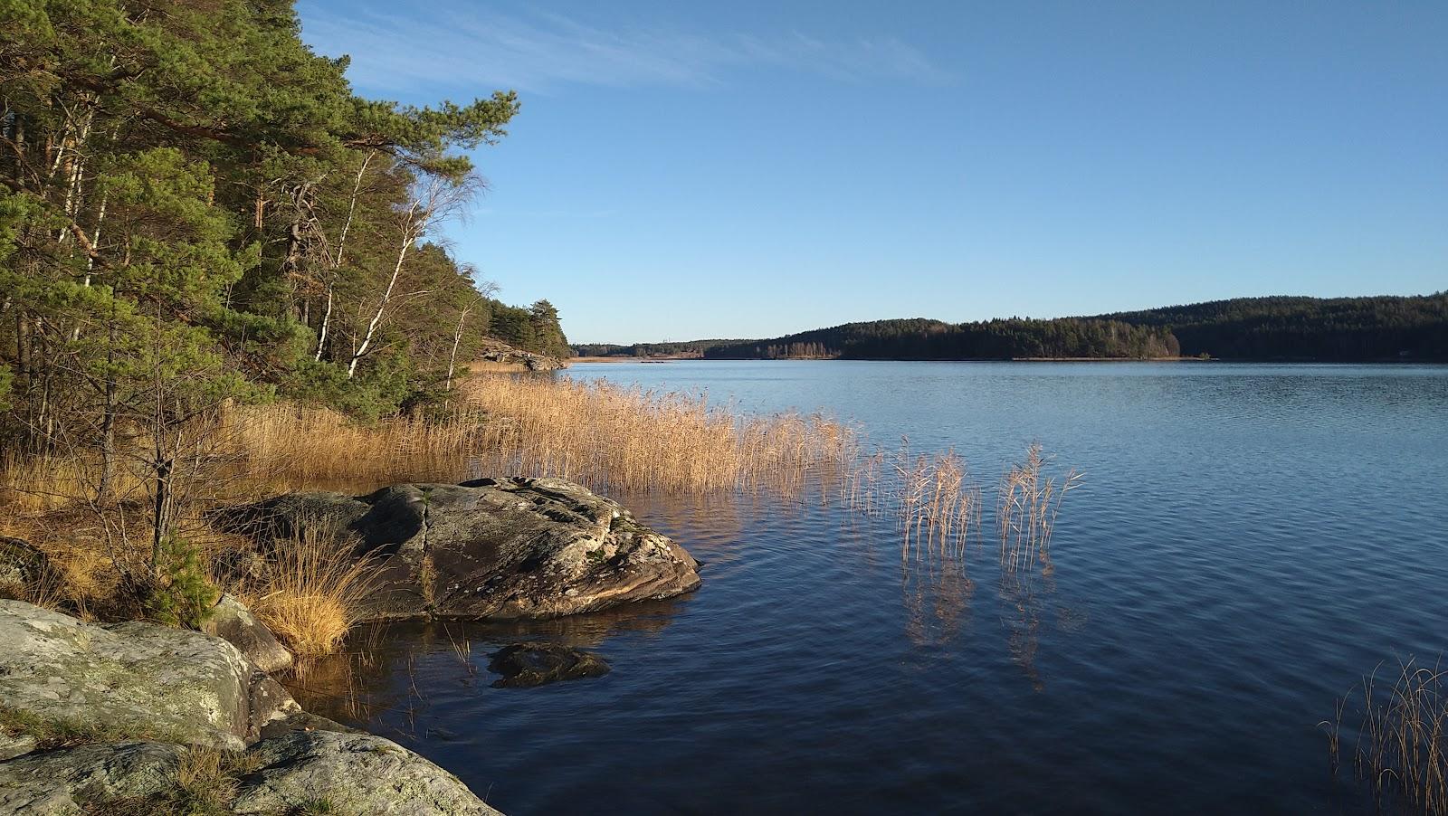 Sandee Tunevannet