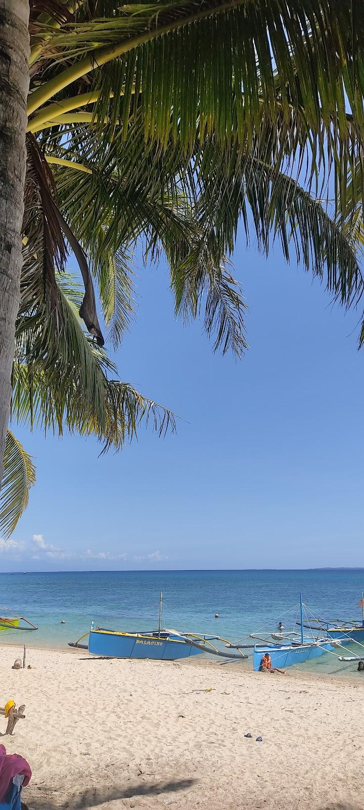 Sandee Tambobong Beach Photo