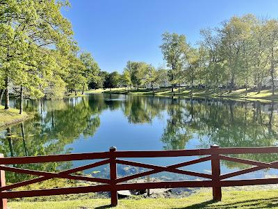 Sandee - Nezugaseki Campground