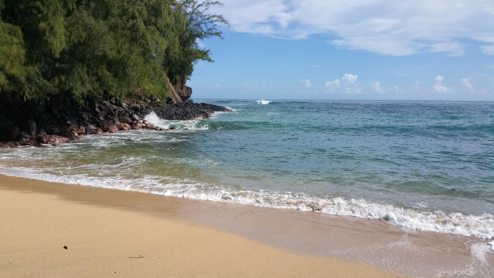 Sandee - Wainiha Bay