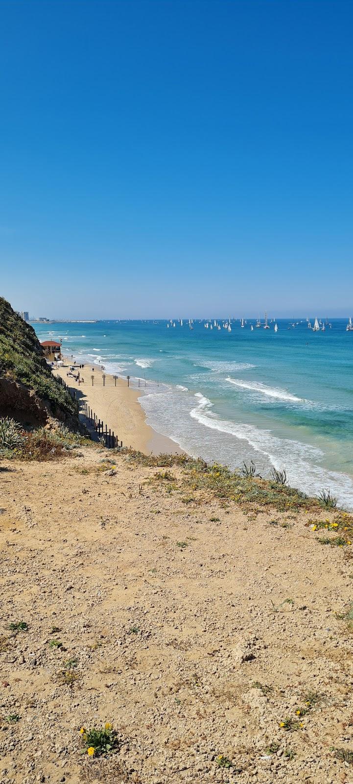 Sandee Sidney Alley Beach