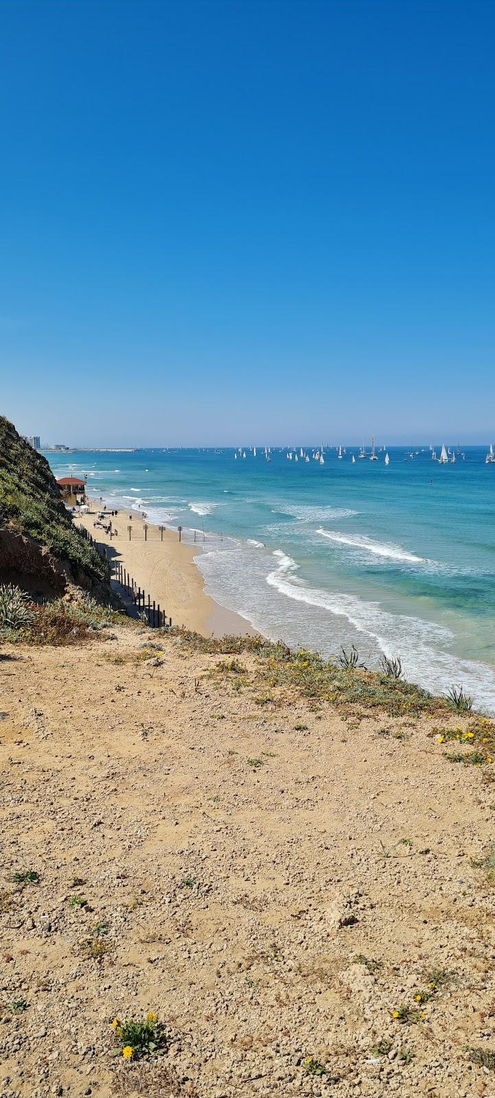 Sandee Sidney Alley Beach Photo