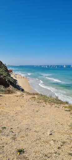 Sandee - Sidney Alley Beach