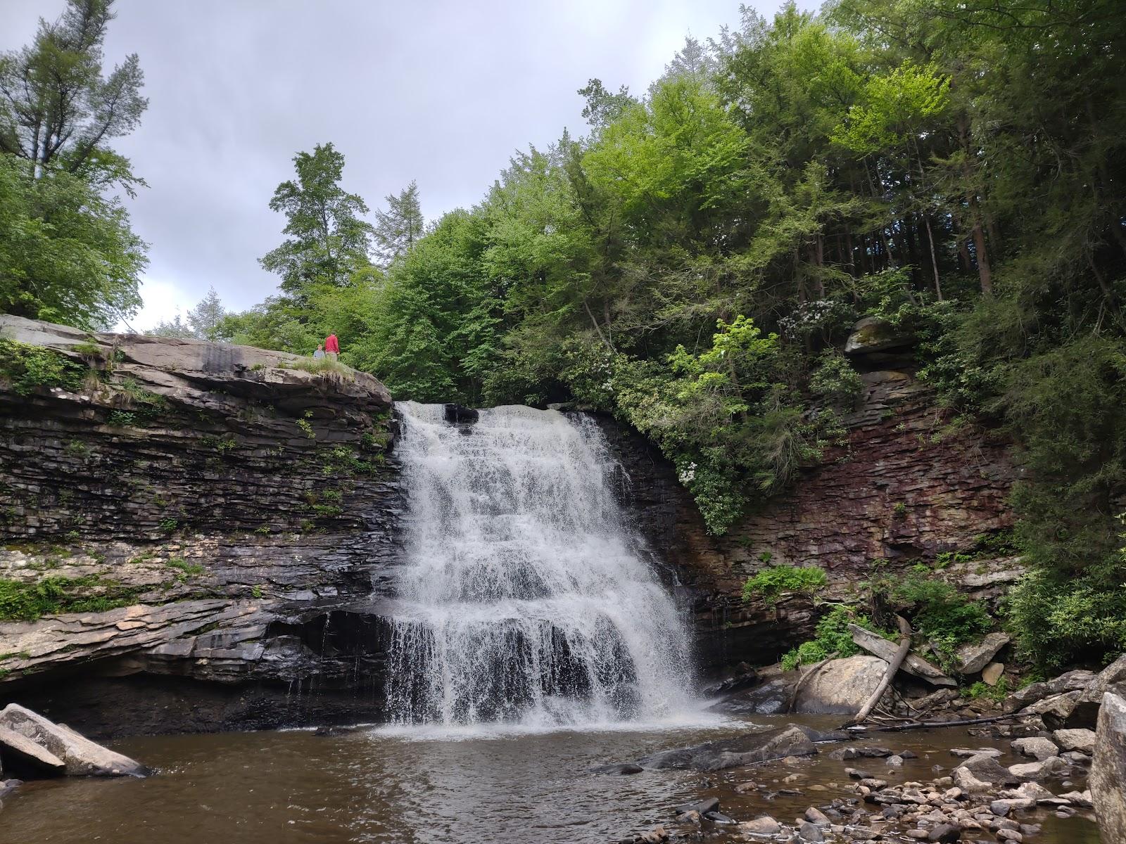 Sandee Swallow Falls State Park