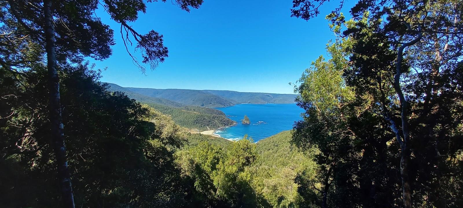 Sandee Camping Manke Beach Photo