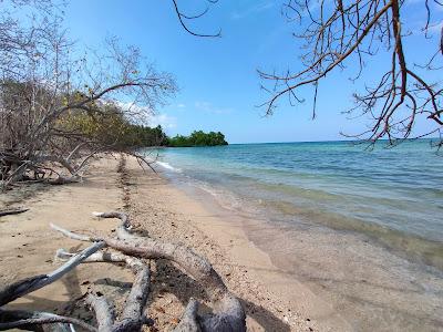 Sandee - Pantai Bonboti