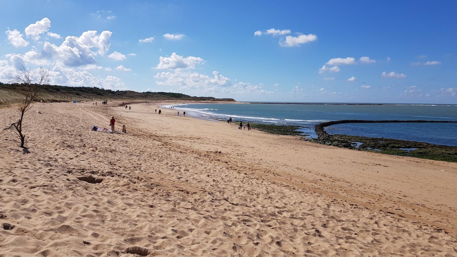 Sandee Grande Plage De Domino Photo