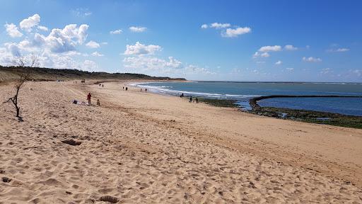 Sandee Grande Plage De Domino Photo