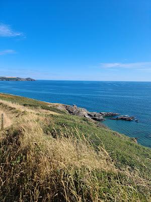 Sandee - Sharrow Point Beach