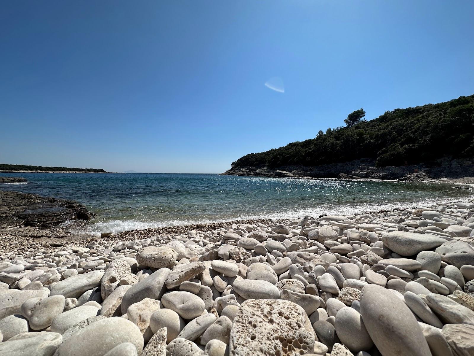 Sandee Beach Ribarica