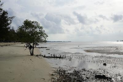 Sandee - Tanjung Pendam Beach