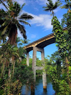 Sandee - Honoli'I Beach Park