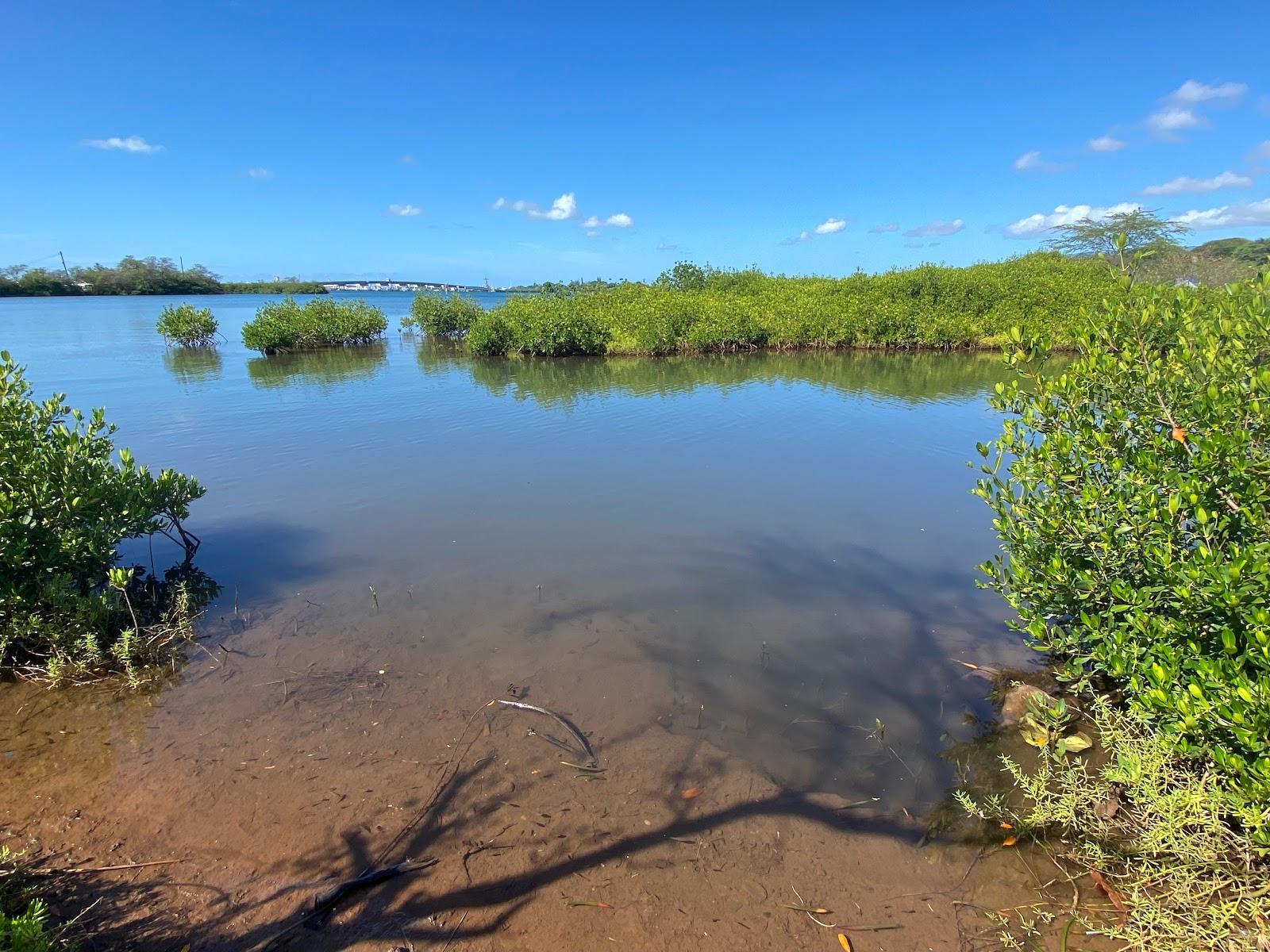 Sandee Aiea Beach Park