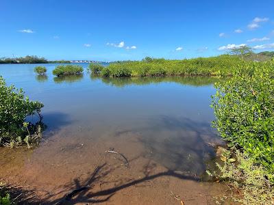 Sandee - Aiea Beach Park