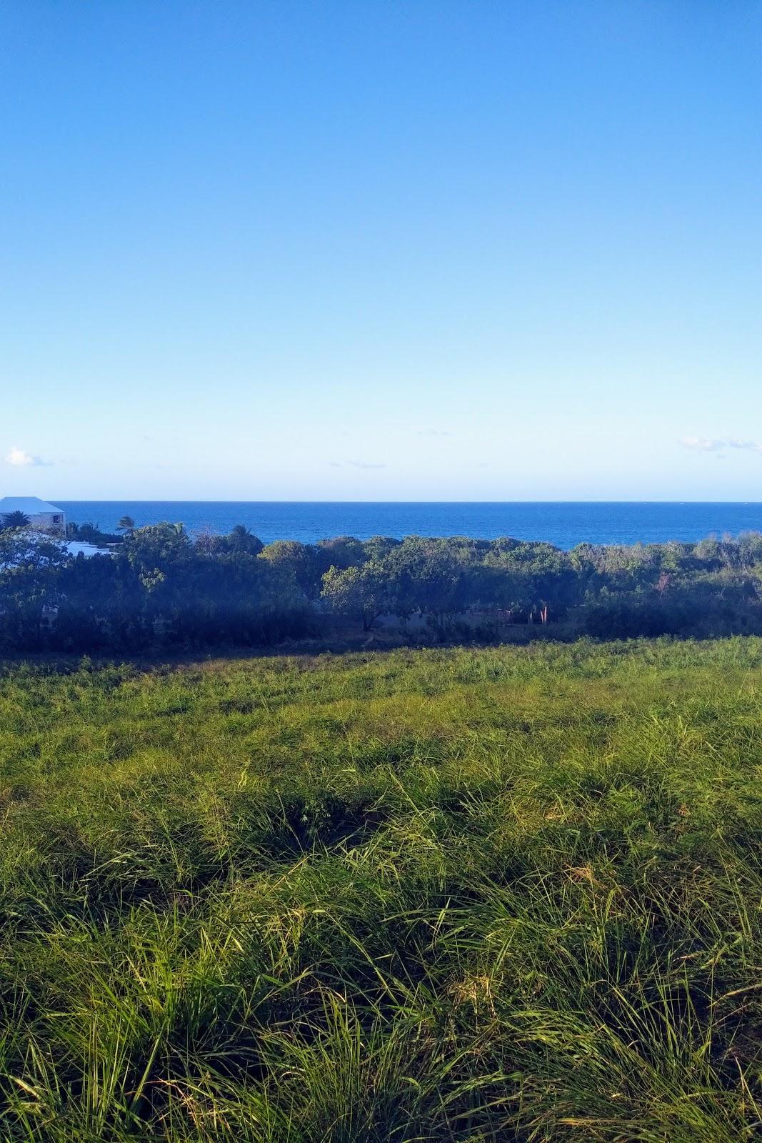 Sandee - Green Cay Beach