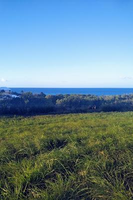 Sandee - Green Cay Beach