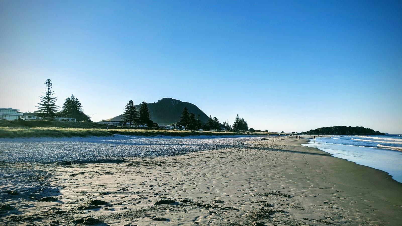 Sandee Te Ngaio Reserve