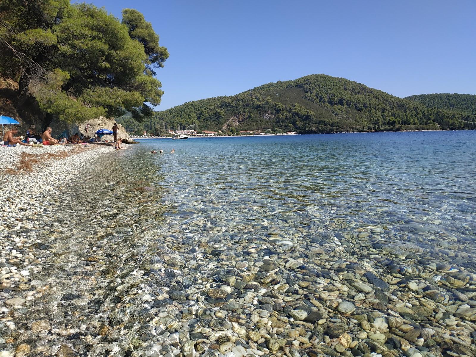 Sandee Andrines Beach