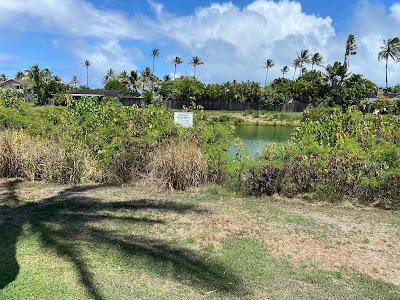 Sandee - Oneawa Beach