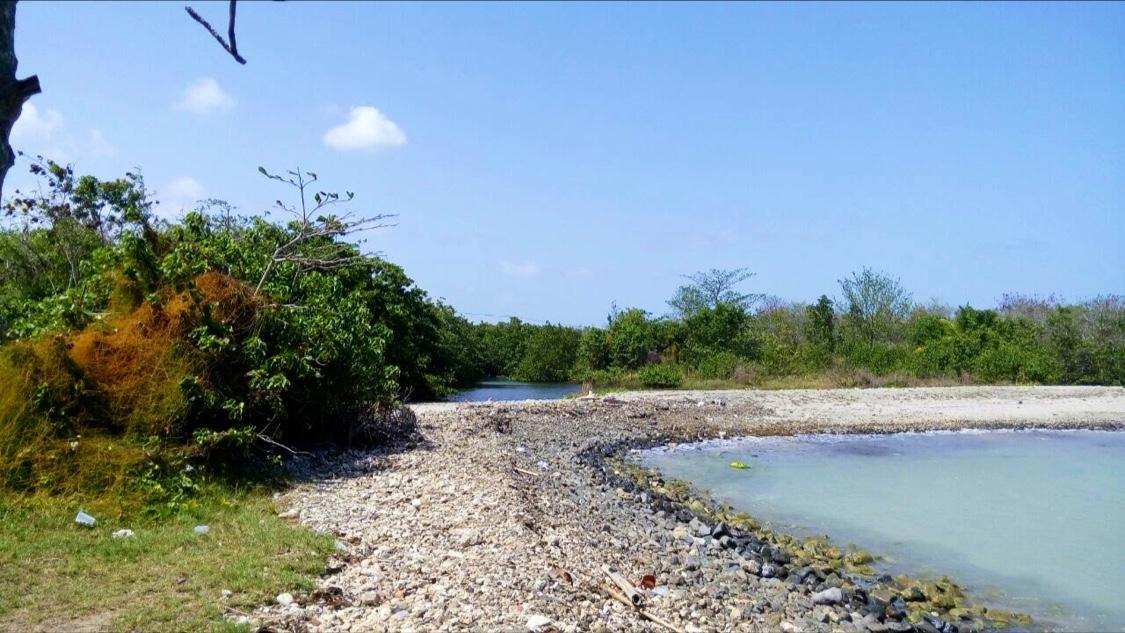 Sandee Cedar Heights Beach Photo