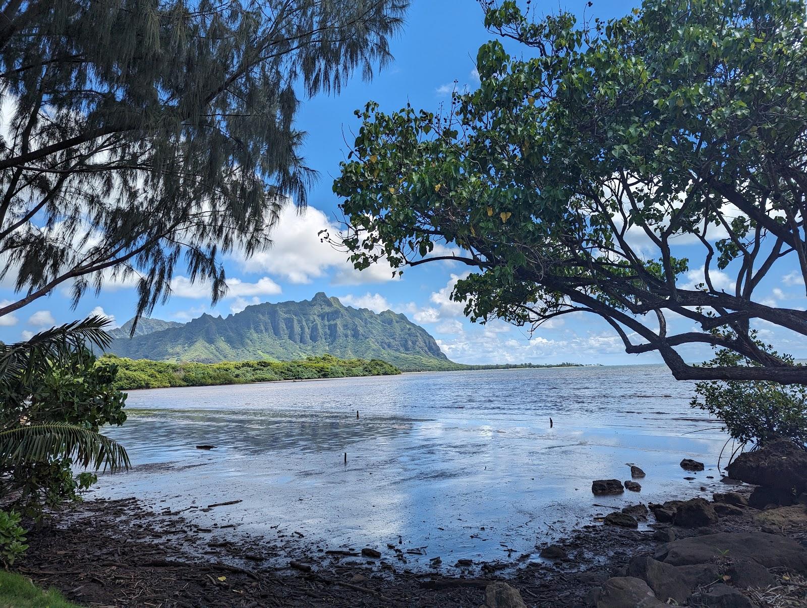 Sandee - Waiahole Beach Park