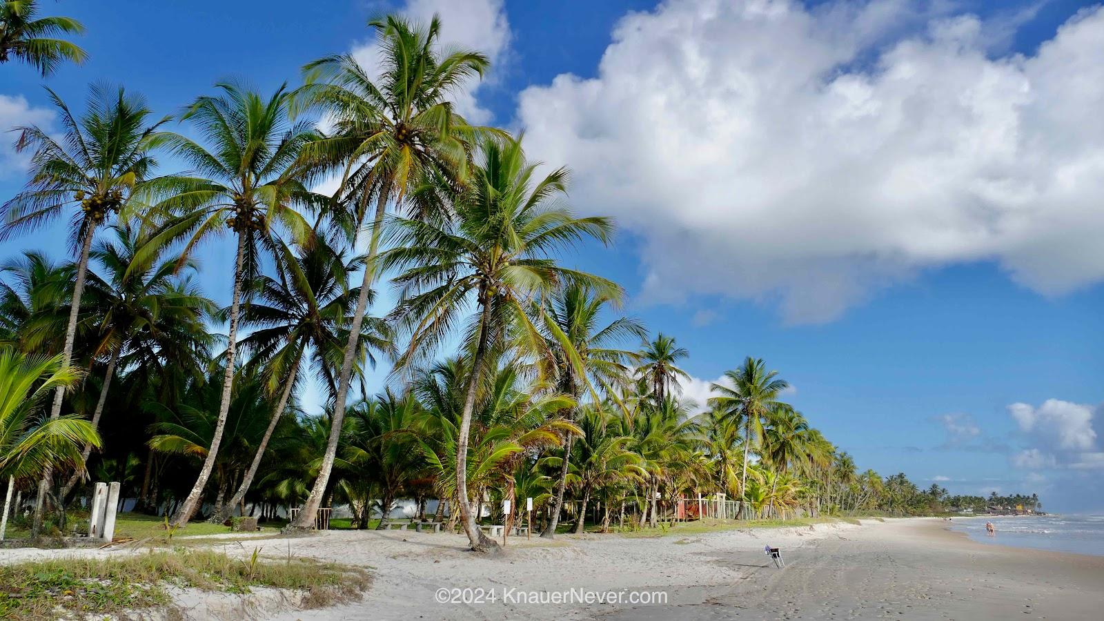 Sandee - Cana Brava Resort Beach