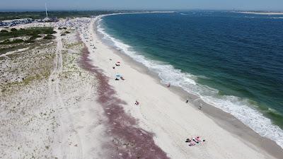 Sandee - Overlook Beach