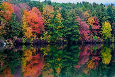 Sandee - Cunningham Pond Beach