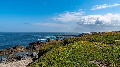 Sandee - Praia De Sao Torpes