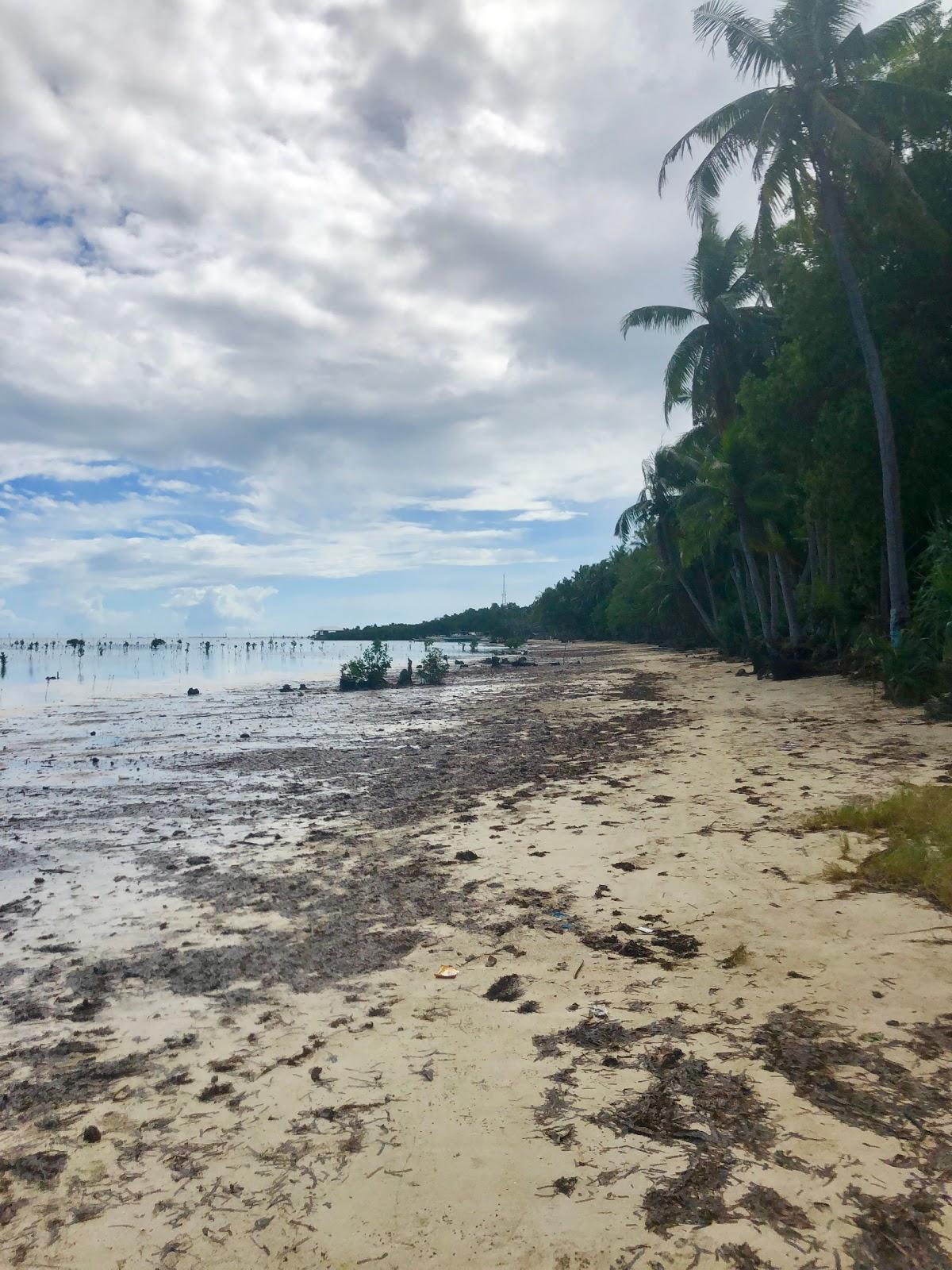 Sandee Hartman Beach