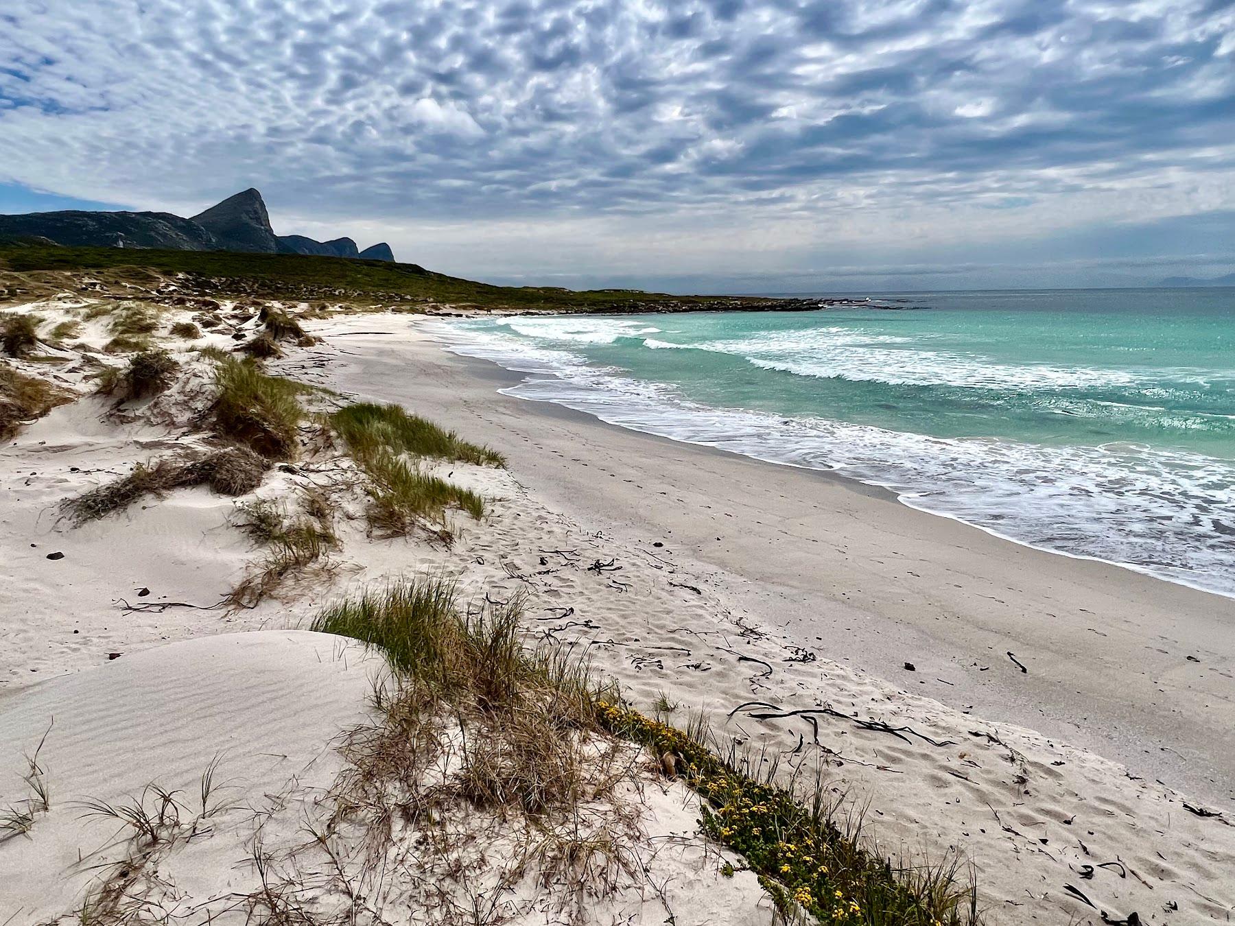 Sandee Buffels Bay Beach