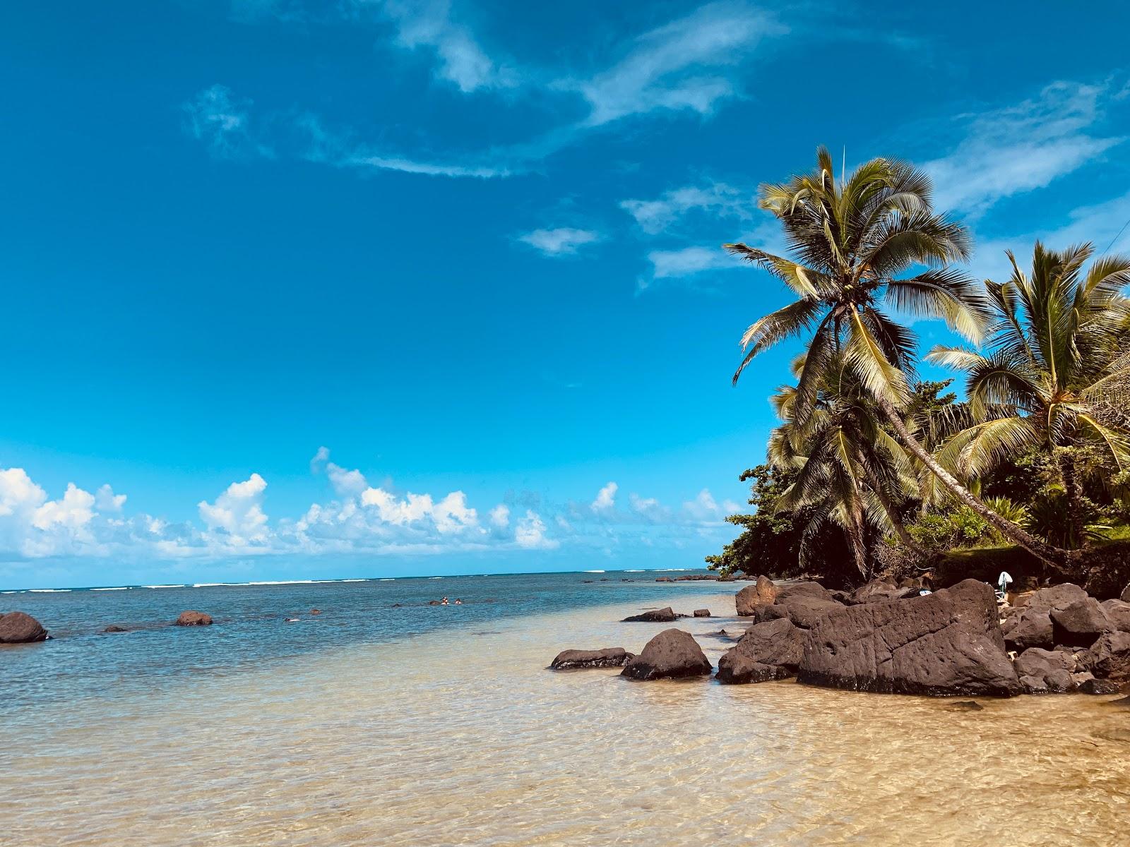 Sandee - Wyllie Beach