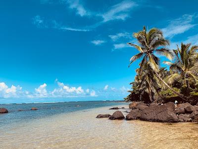 Sandee - Wyllie Beach