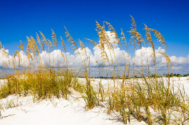 Sandee - Eglin Beach Park