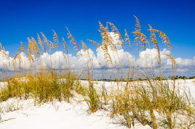 Sandee - Eglin Beach Park