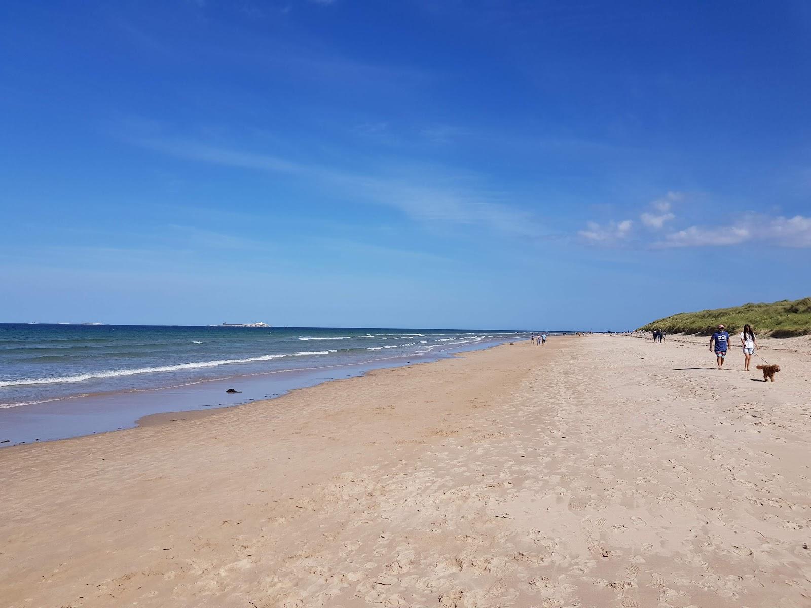 Sandee Holy Island Beach Photo