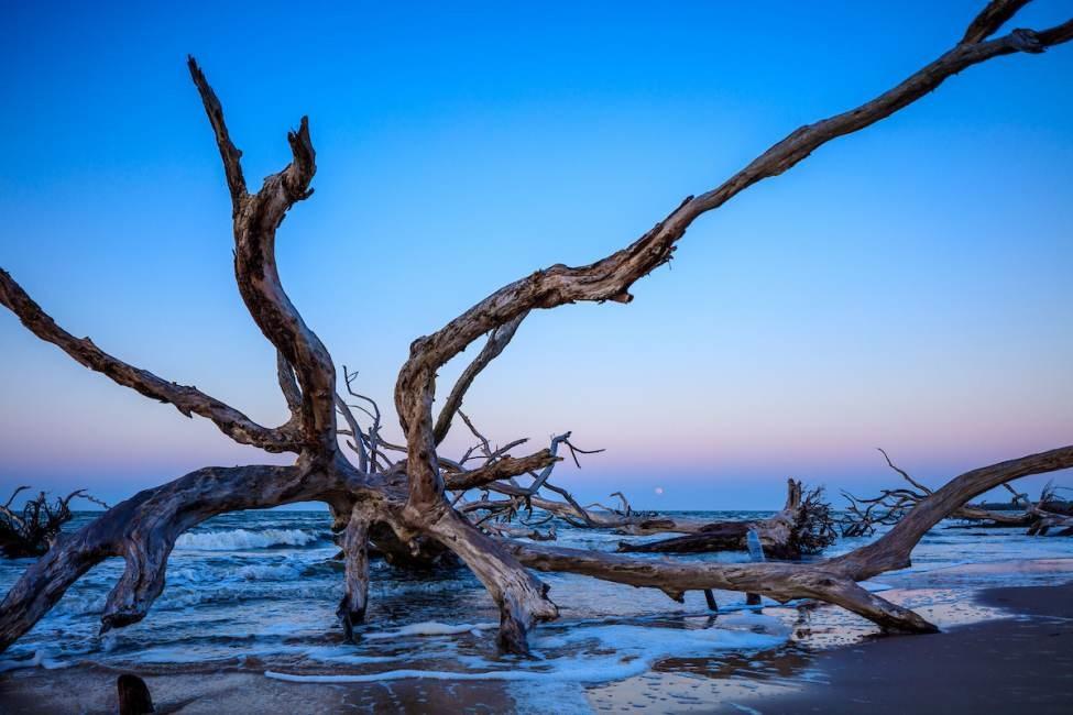 Sandee Big Talbot Island State Park