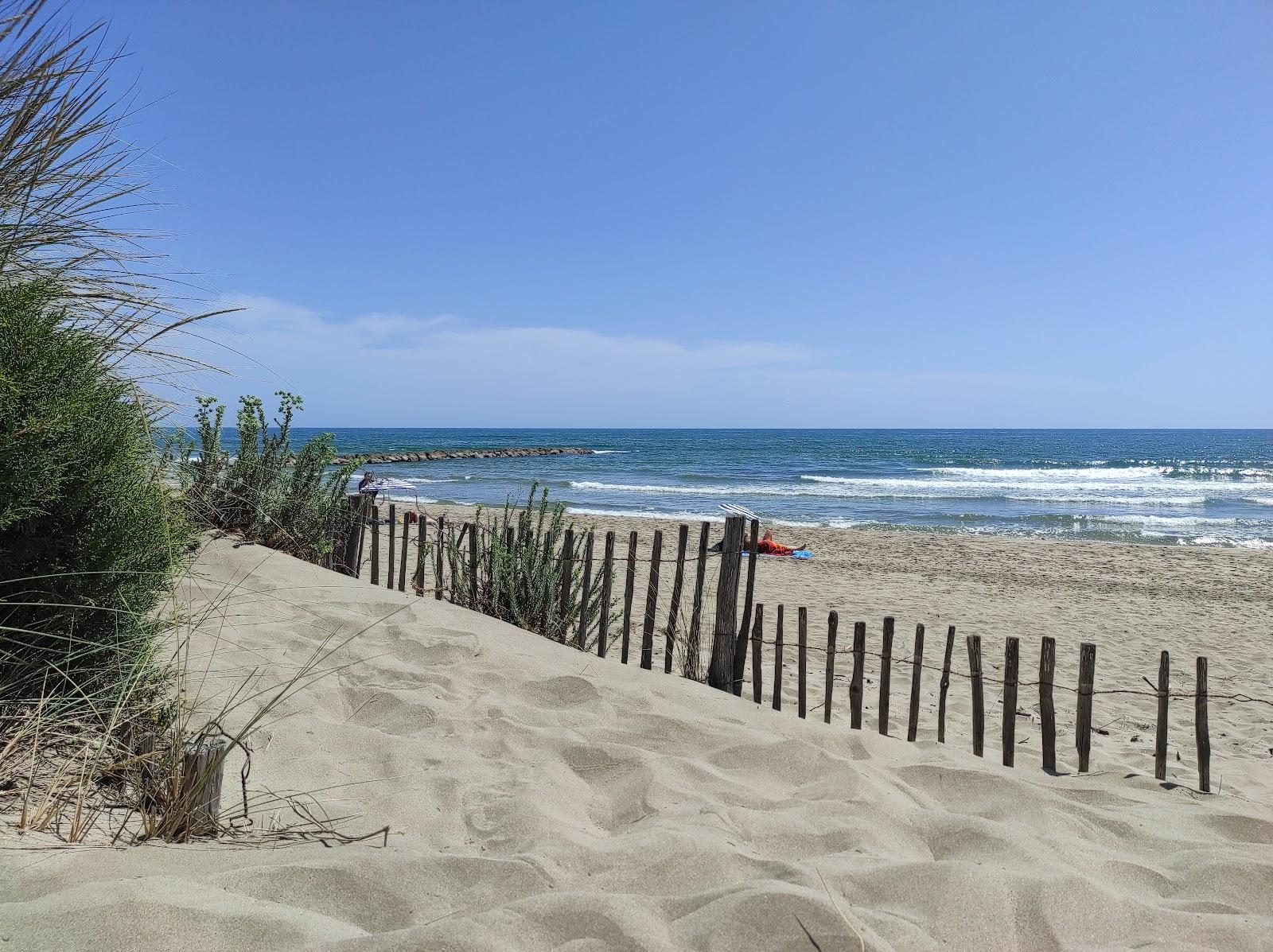Sandee Plage Des Epis