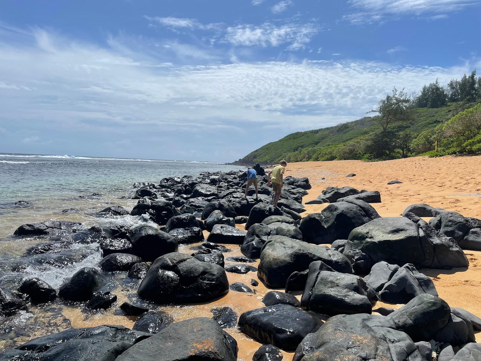 Sandee - Larsen's Beach